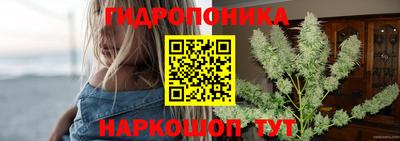 Альфа ПВП Аргун