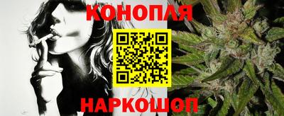 Альфа ПВП Аргун
