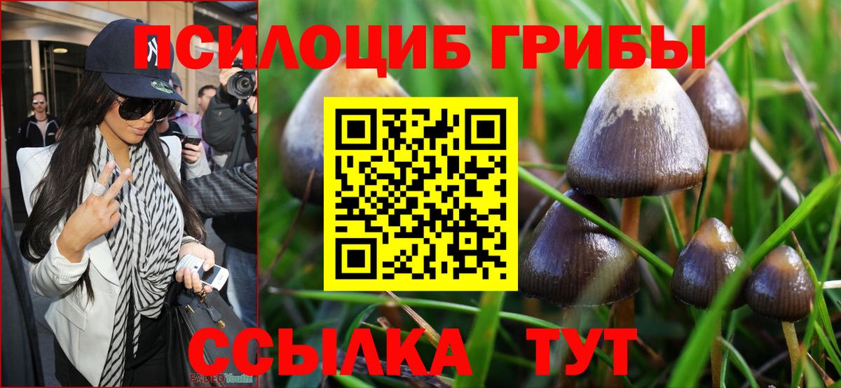 Псилоцибиновые грибы мицелий Белореченск