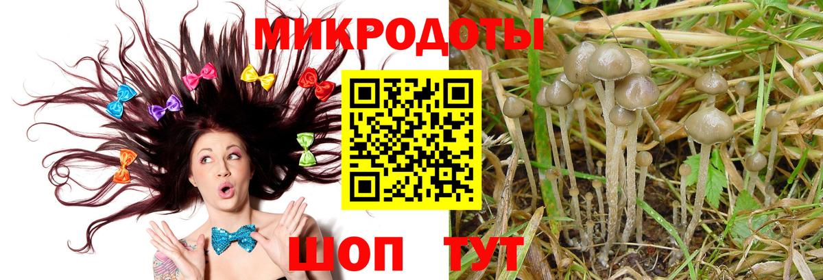 Галлюциногенные грибы MAGIC MUSHROOMS  Галлюциногенные грибы GOLDEN TEACHER  Белореченск  закладки  Вход с VPN 